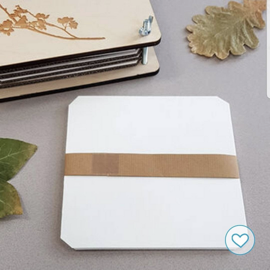 Extra paper inserts for flower press